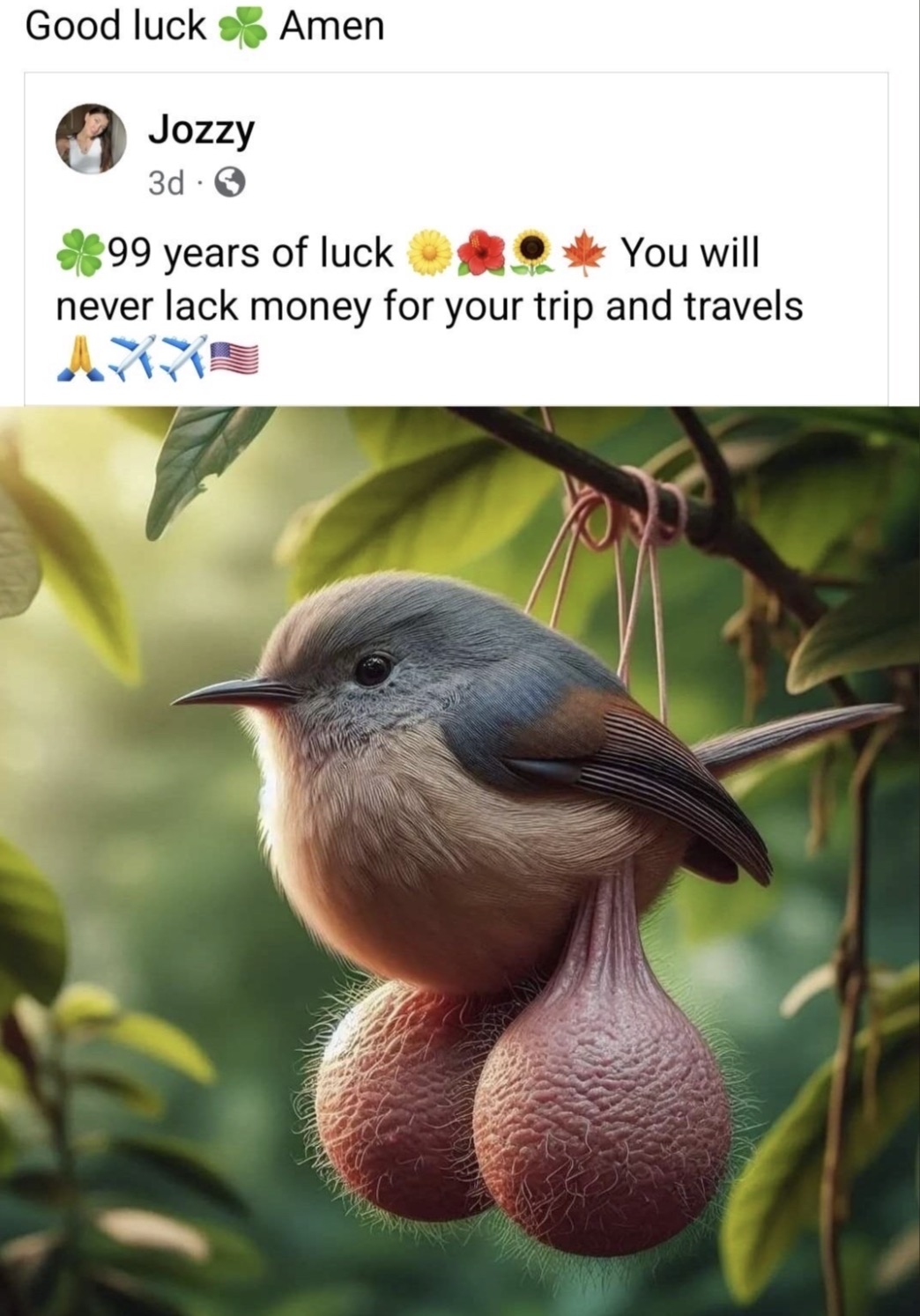 bird with balls - Good luck Amen Jozzy 3d 99 years of luck You will never lack money for your trip and travels Axx